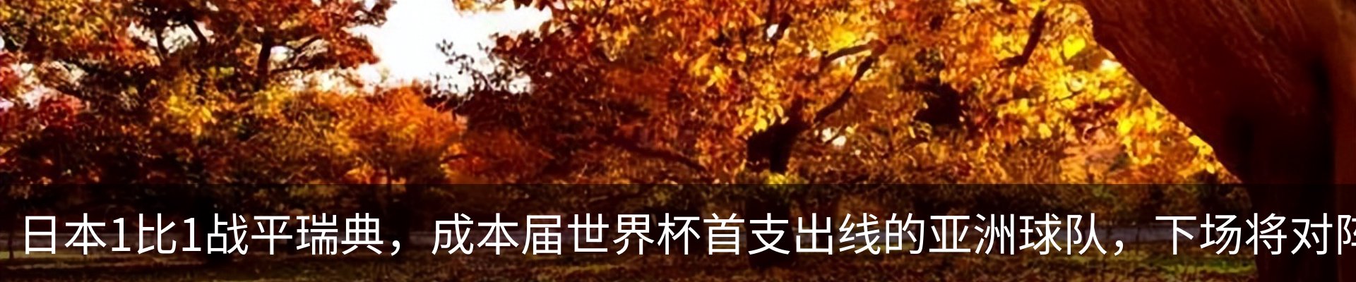 行业资讯